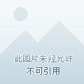大秦：始皇之嗣，血战至巅
